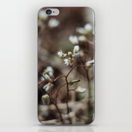 floral composition no. 3 iPhone Skin