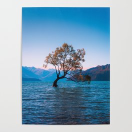 Tree Lake Poster