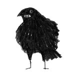 Dawning Crow
