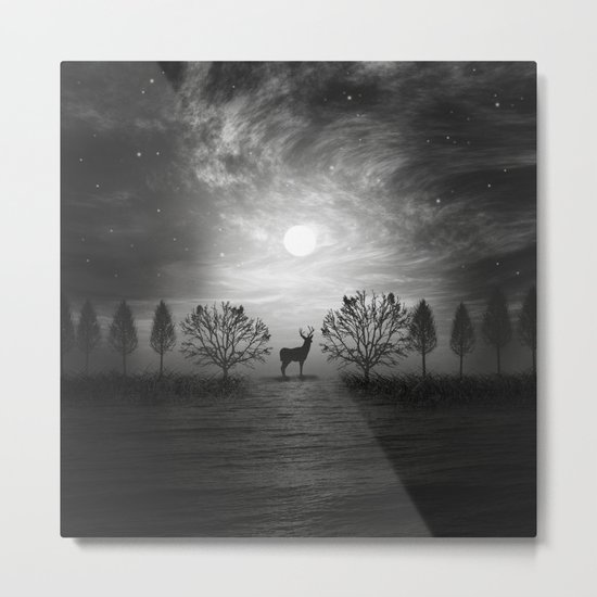 Into the wild Metal Print