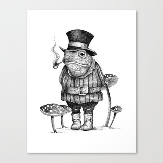 MISTER FROG Canvas Print