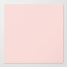 Coy Pink Canvas Print
