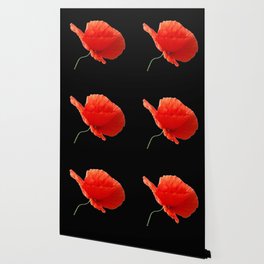 Minimalistic red poppy  Wallpaper