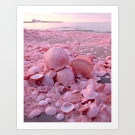 Pink seashells Art Print