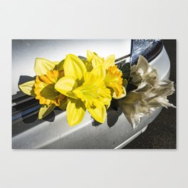 Flowers on car bumper Canvas Print