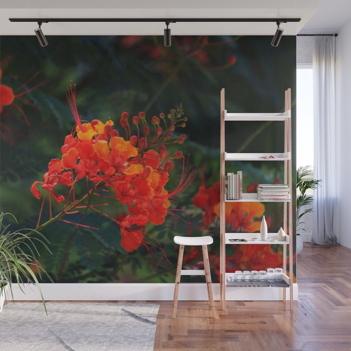 Desert Fall Colors Iii Wall Mural By Timrahija