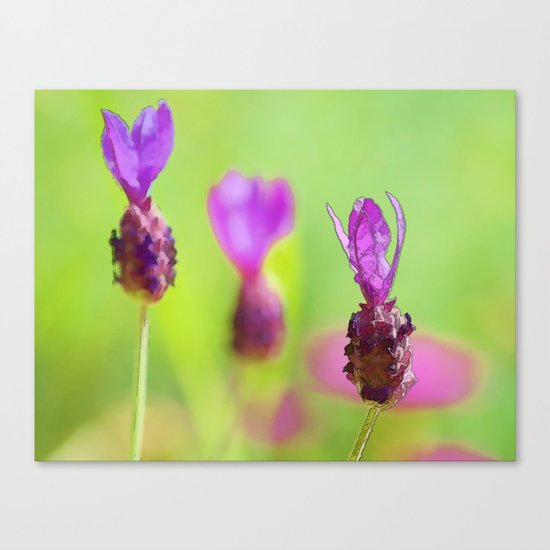 Lavender Bud Painting Canvas Print