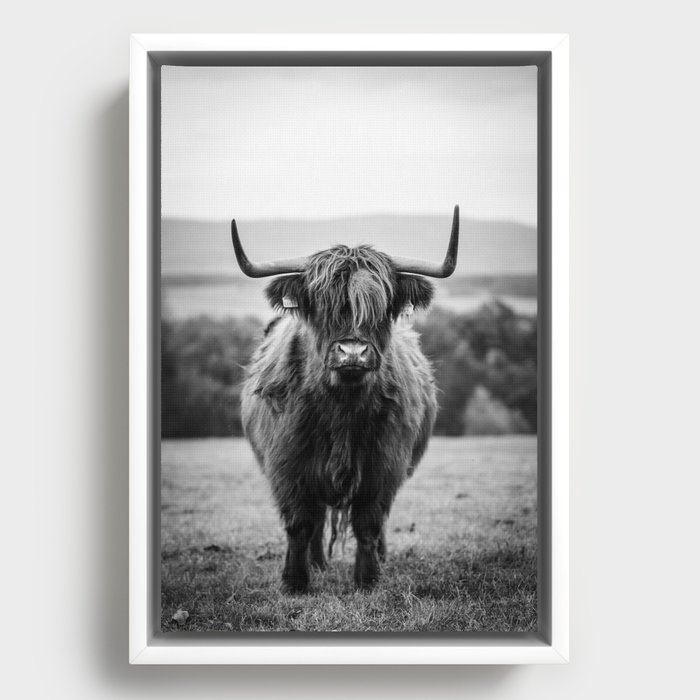 Framed Canvas