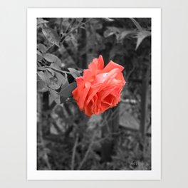For the Lovers Art Print