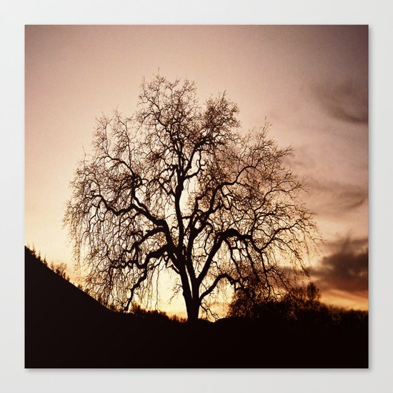 The Tree of Life... Canvas Print