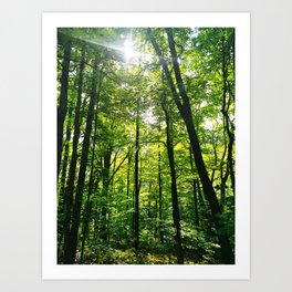 Forest Green Art Print