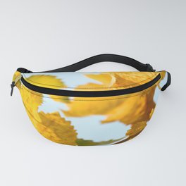 From green to yellow Fanny Pack