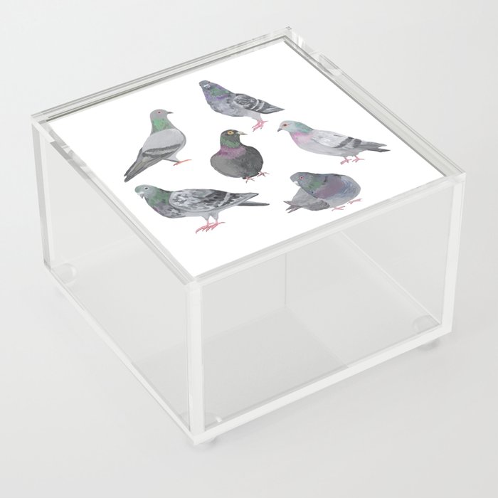 Pigeon Party Acrylic Box