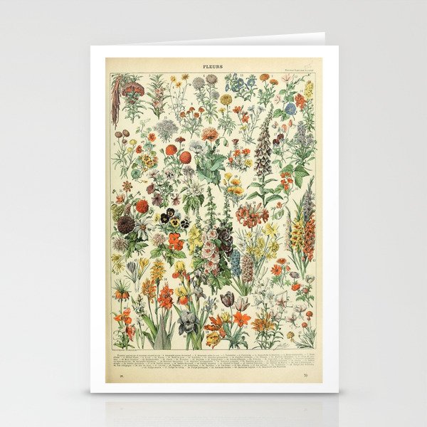 Adolphe Millot Vintage Fleurs Flower 1909 Stationery Cards