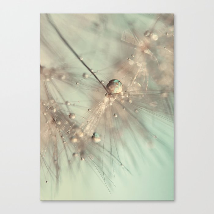 flower photography - dandelion -  elegant gold mint green floral Canvas Print