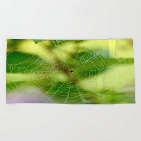 Beautiful Cobweb Beach Towel