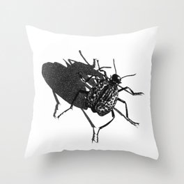 Desert Spider Beetle Throw Pillow