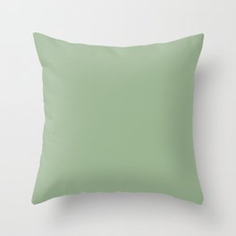 Solid Color SAGE GREEN  Throw Pillow