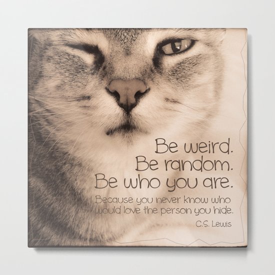 Wise Tabby Cat Metal Print