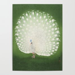 Marvellous Peacock - Vintage Japanese woodblock print Art Poster