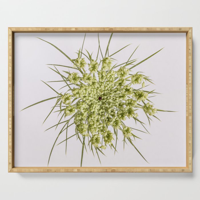 Queen Ann's Lace Flower Serving Tray