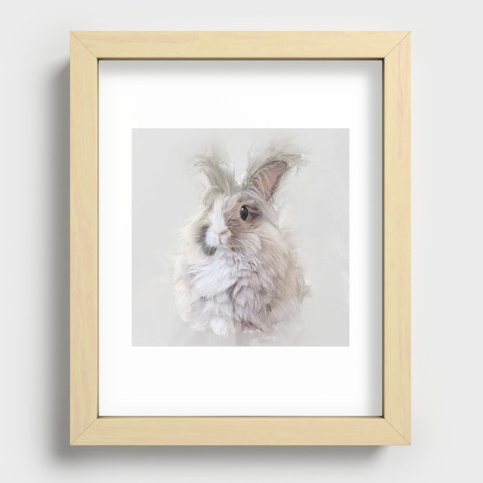 Dwarf Angora Rabbit Wildlife Portrait Recessed Framed Print