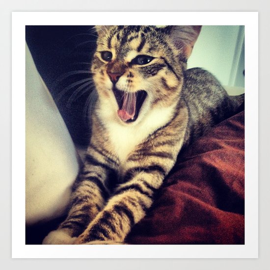 cat Art Print