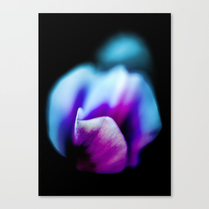 Abstract Flower  Canvas Print