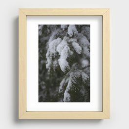 Evergreen tree with snow Recessed Framed Print
