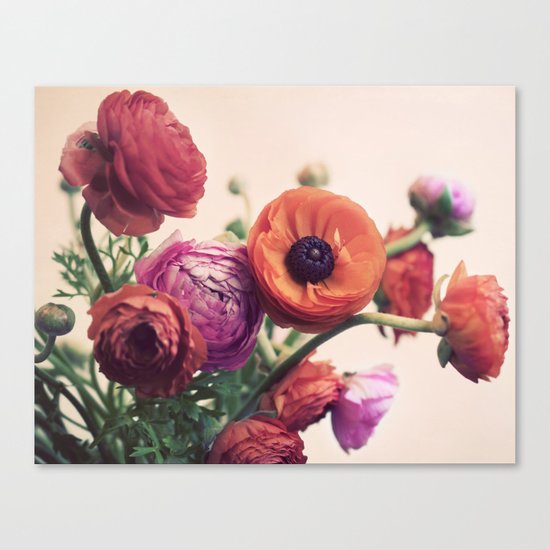 Ranunculus Canvas Print