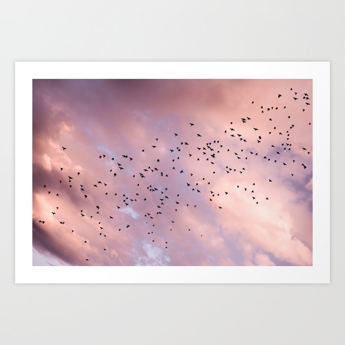 Birds And Sunset Skyscape Sunrise Pink Clouds Unicorn Colours Blush Pink Art Print By Wildhood