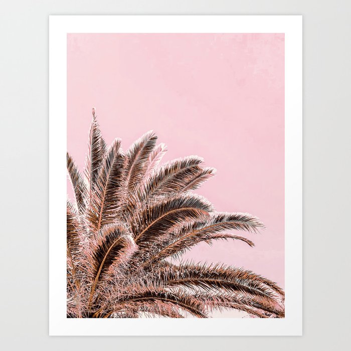 Fiesta palms - sunset pink Art Print