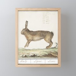 Hare, Lepus Europaeus Framed Mini Art Print