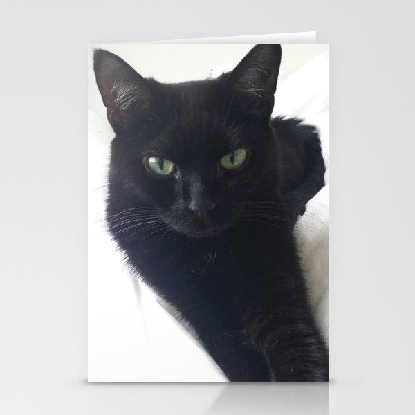 Phoebe the Cat Chilaxing Stationery Cards