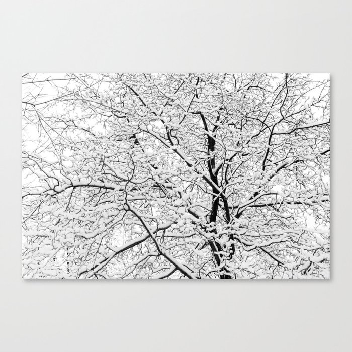 Snow tree Canvas Print