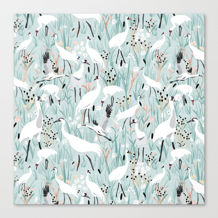 Whooping cranes comeback species light blue  Canvas Print