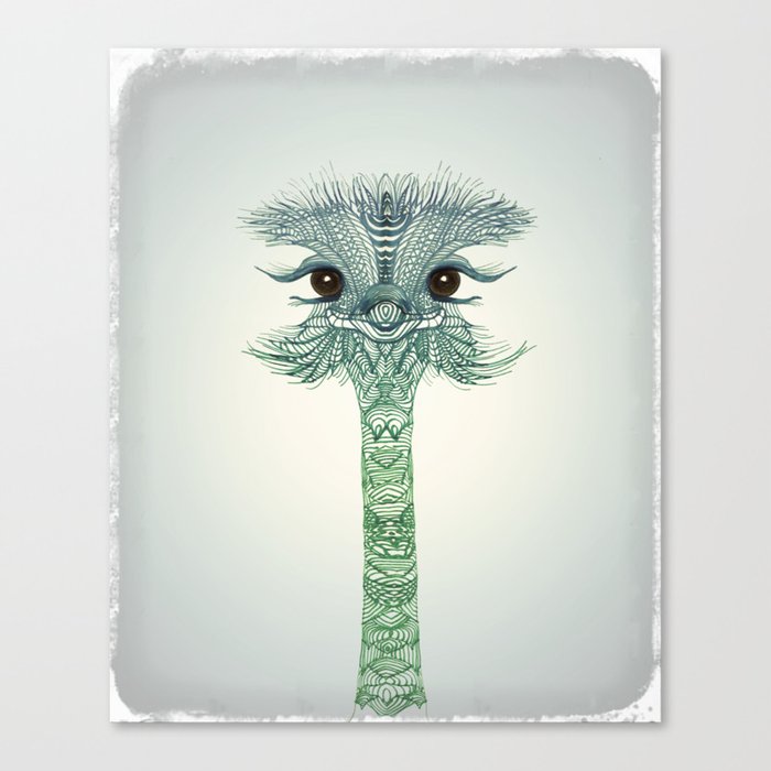 Ostrich  Canvas Print