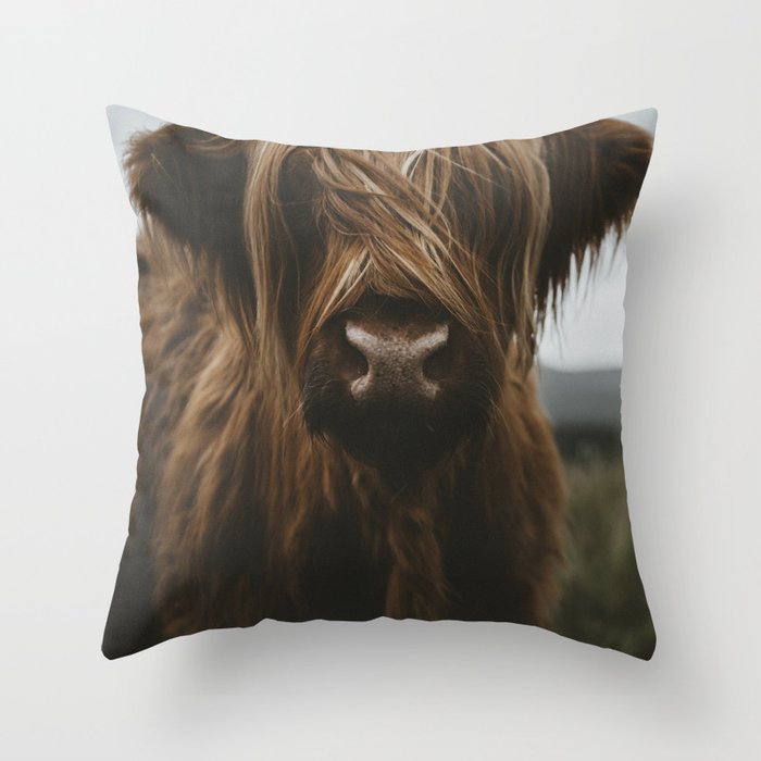 Throw Pillow