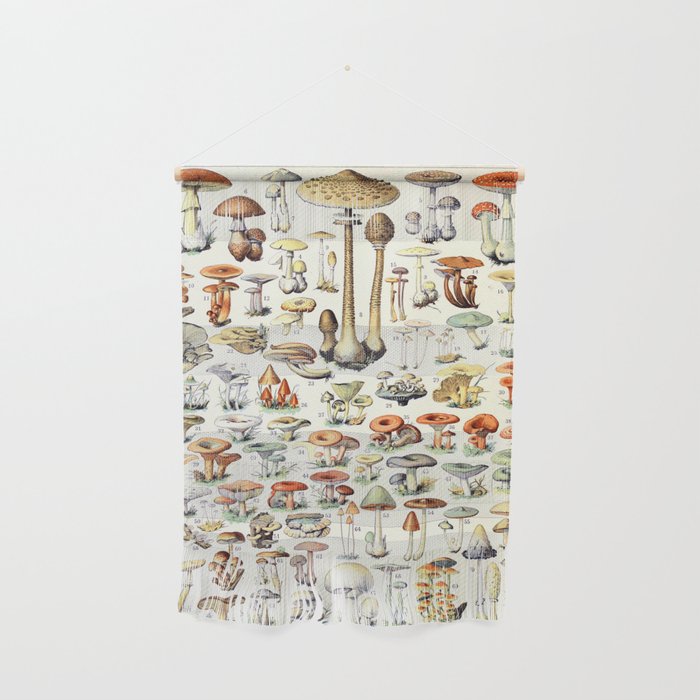 Adolphe Millot - Champignons B - French vintage poster Wall Hanging