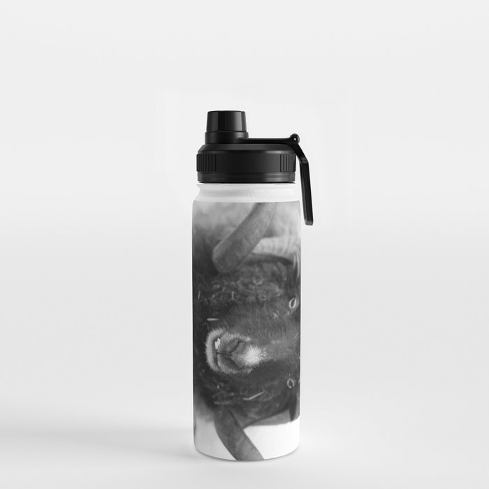 The black sheep, black and white photography Water Bottle