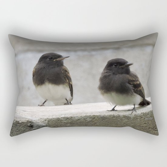 Young Black Phoebes Rectangular Pillow