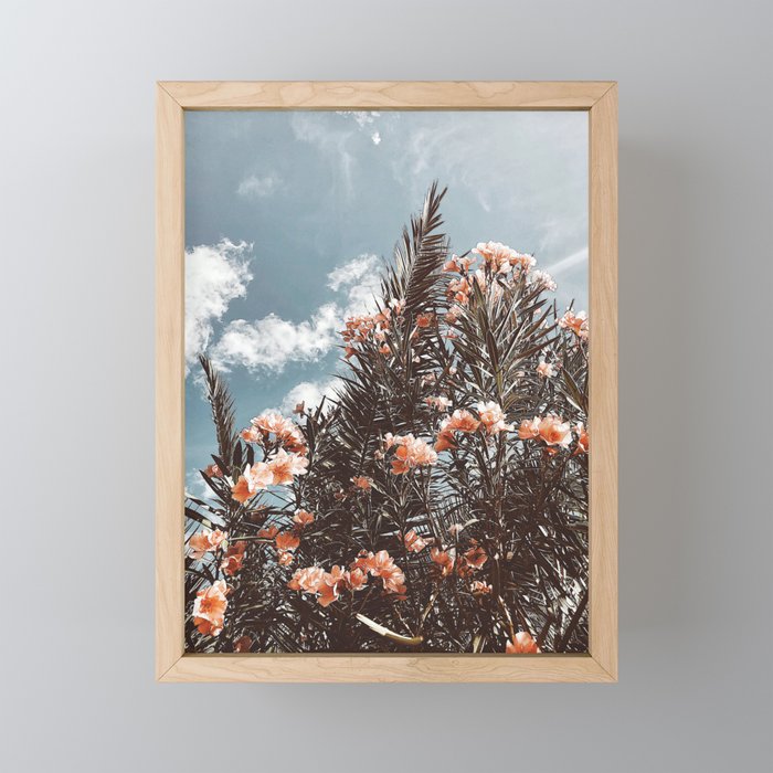 Life is Peachy Framed Mini Art Print