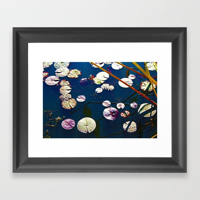 Blue Water Lily Pond Framed Art Print