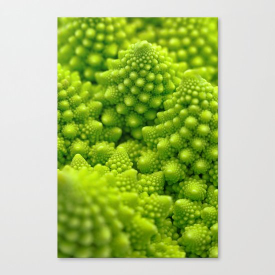 Macro Romanesco Broccoli Canvas Print