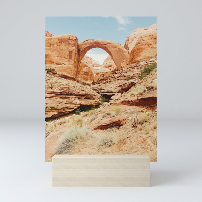 Mini Art Print