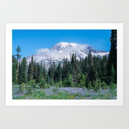 Mount Rainier in Bloom Art Print