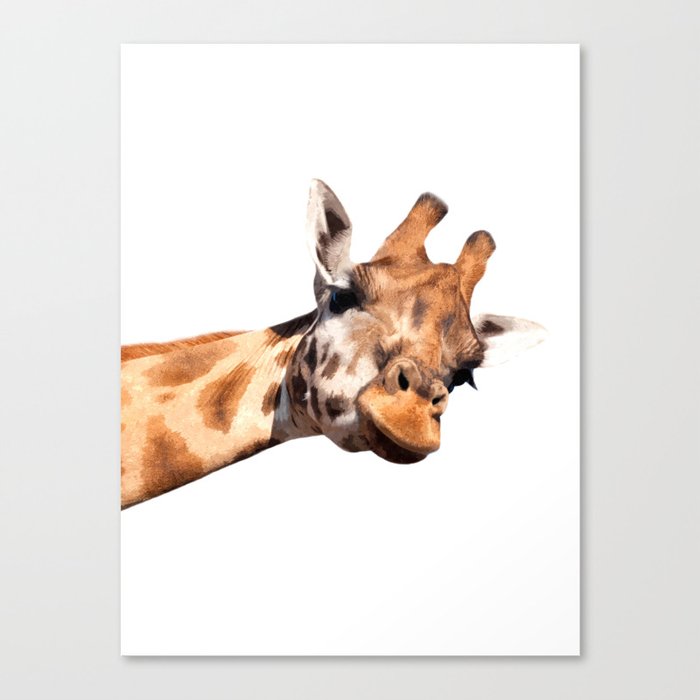 Giraffe portrait Canvas Print