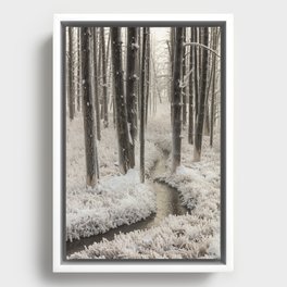 Frosty Morning in Yellowstone National Park Framed Canvas