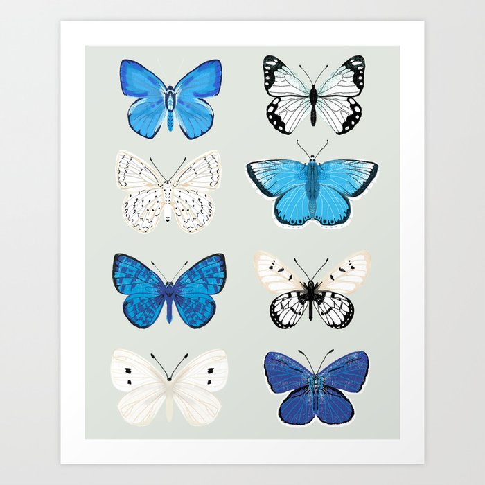 Lepitoptery No. 2 - Blue and White Butterflies and Moths Art Print by ...