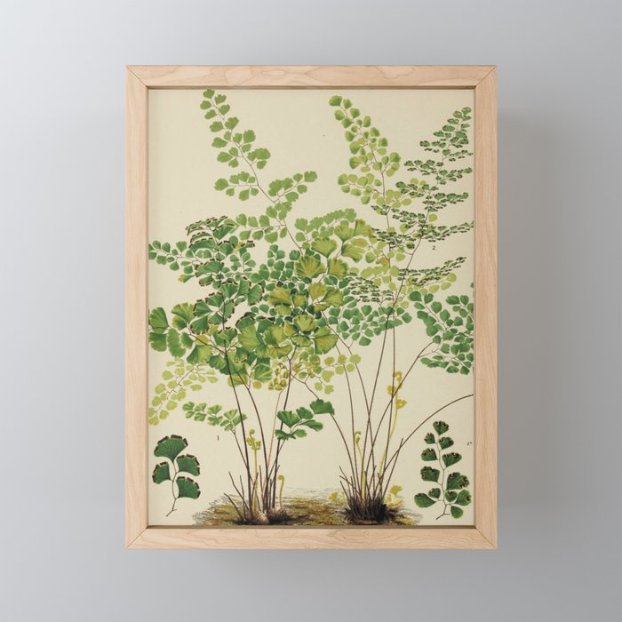 Framed Mini Art Print